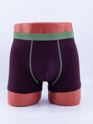 Однотонные мужские боксеры с цветным эластичным поясом - фото 1